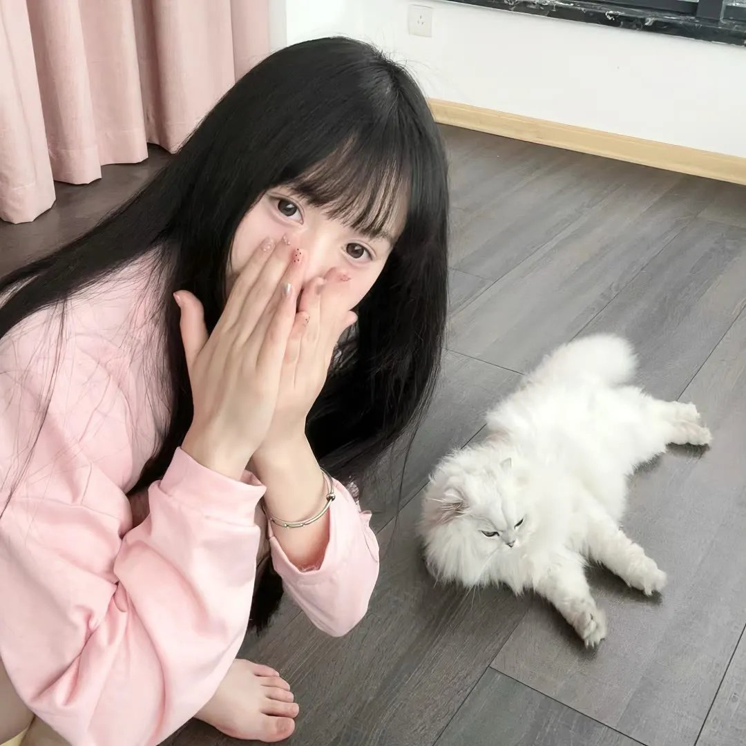 百慕大星际流浪者